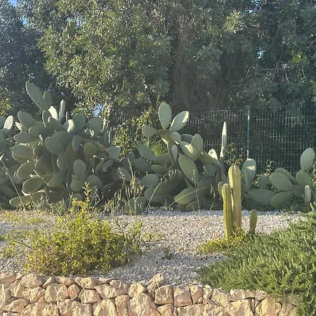 Villa Tenuta Fico D'india - Casa Aliva