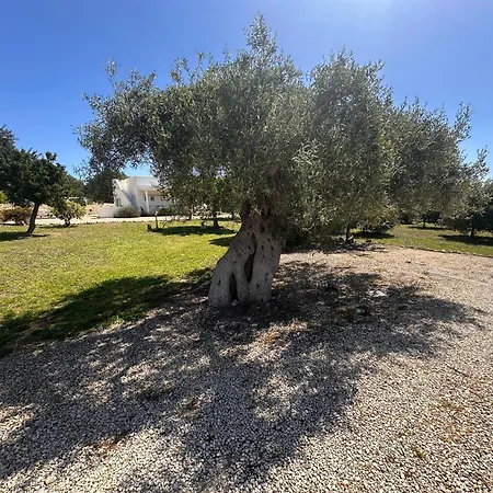 Tenuta Fico D'india - Casa Aliva Villa *