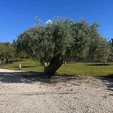 Tenuta Fico D'india - Casa Aliva Villa *